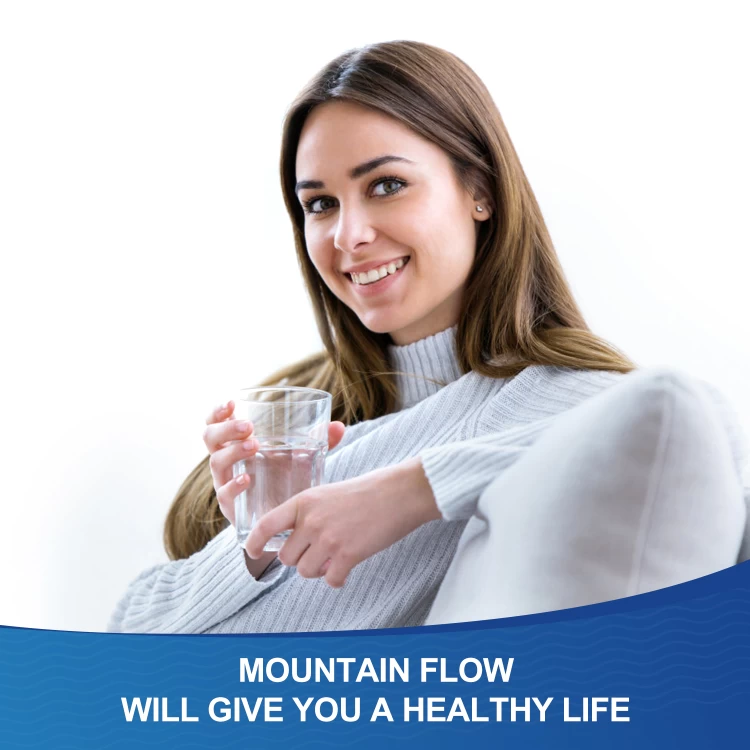 Mountain Flow w10413645a, Edr2rxd1 Water Filter, Filter 2 (4 Pack)